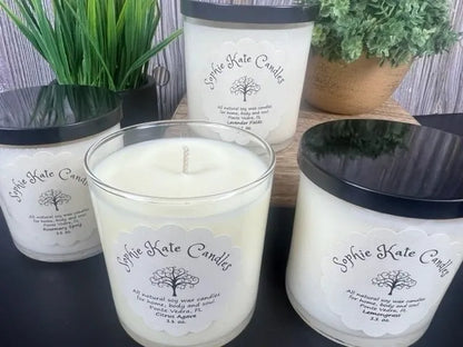 Sophie Kate 1 Wick Signature Candle